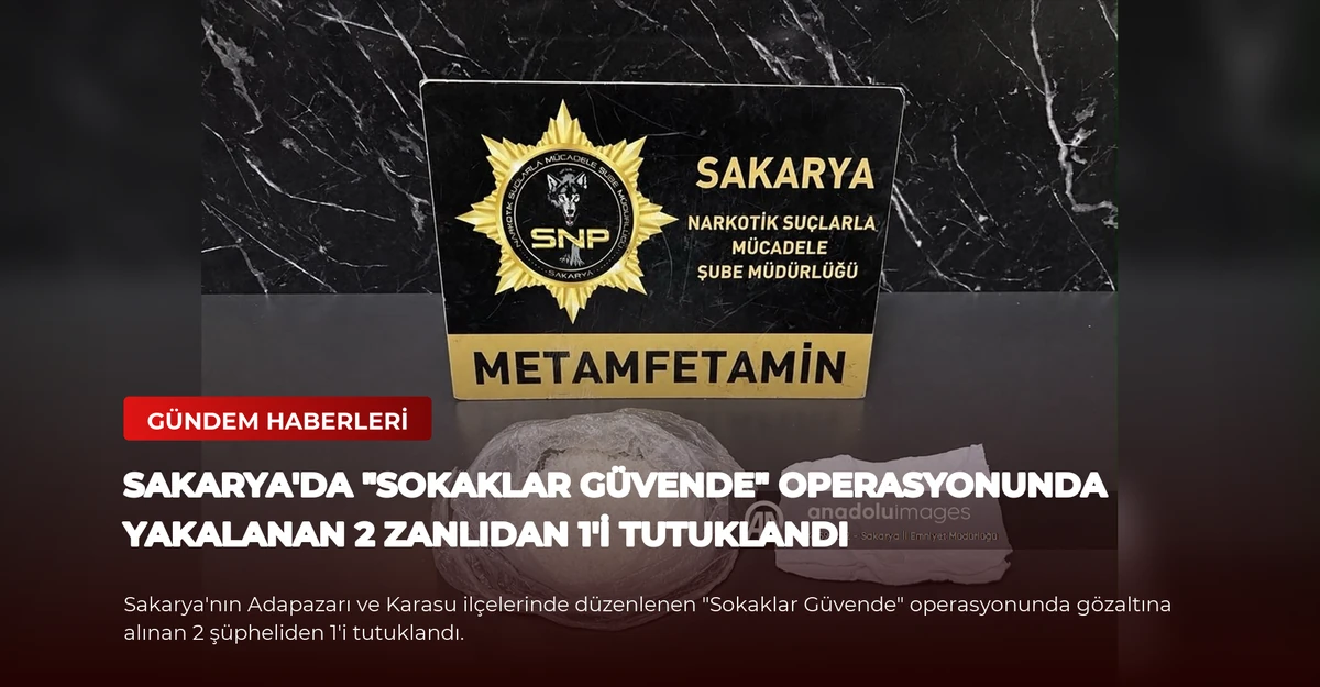 Sakarya'da "Sokaklar Güvende" operasyonunda yakalanan 2 zanlıdan 1'i tutuklandı