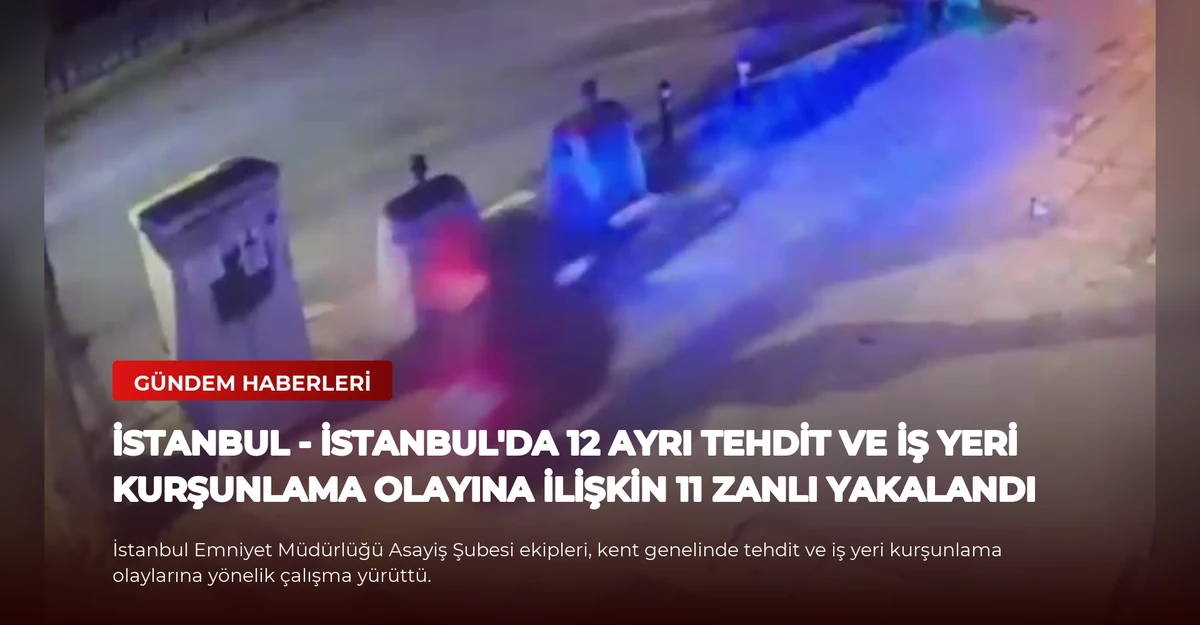 İSTANBUL - İstanbul'da 12 ayrı tehdit ve iş yeri kurşunlama olayına ilişkin 11 zanlı yakalandı