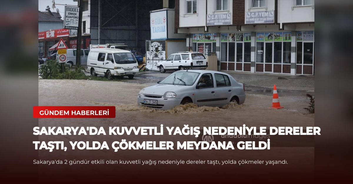 Sakarya'da kuvvetli yağış nedeniyle dereler taştı, yolda çökmeler meydana geldi