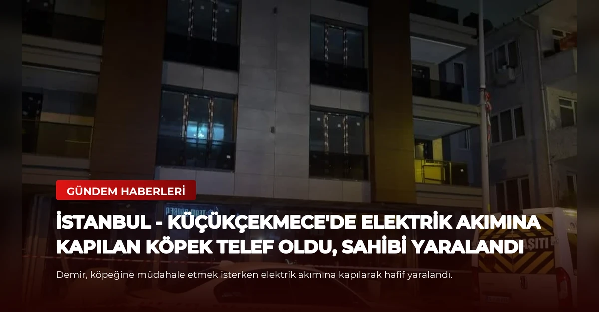 İSTANBUL - Küçükçekmece'de elektrik akımına kapılan köpek telef oldu, sahibi yaralandı