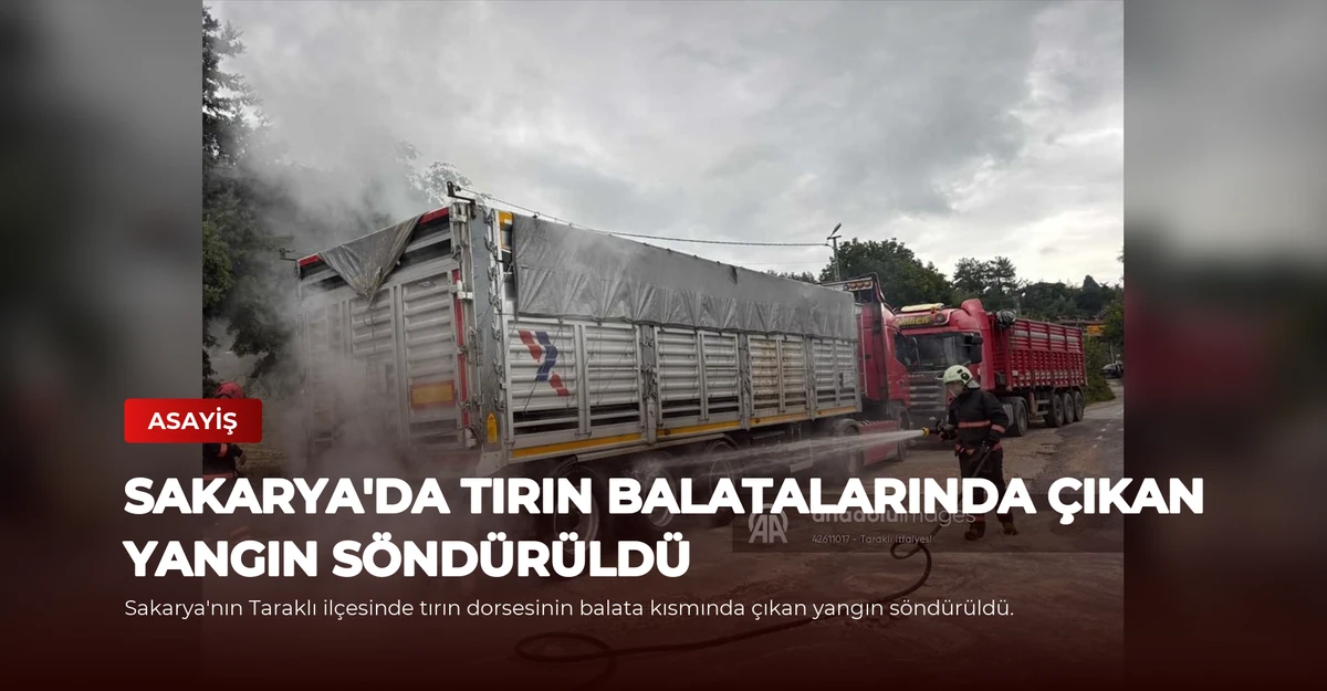 Sakarya'da tırın balatalarında çıkan yangın söndürüldü