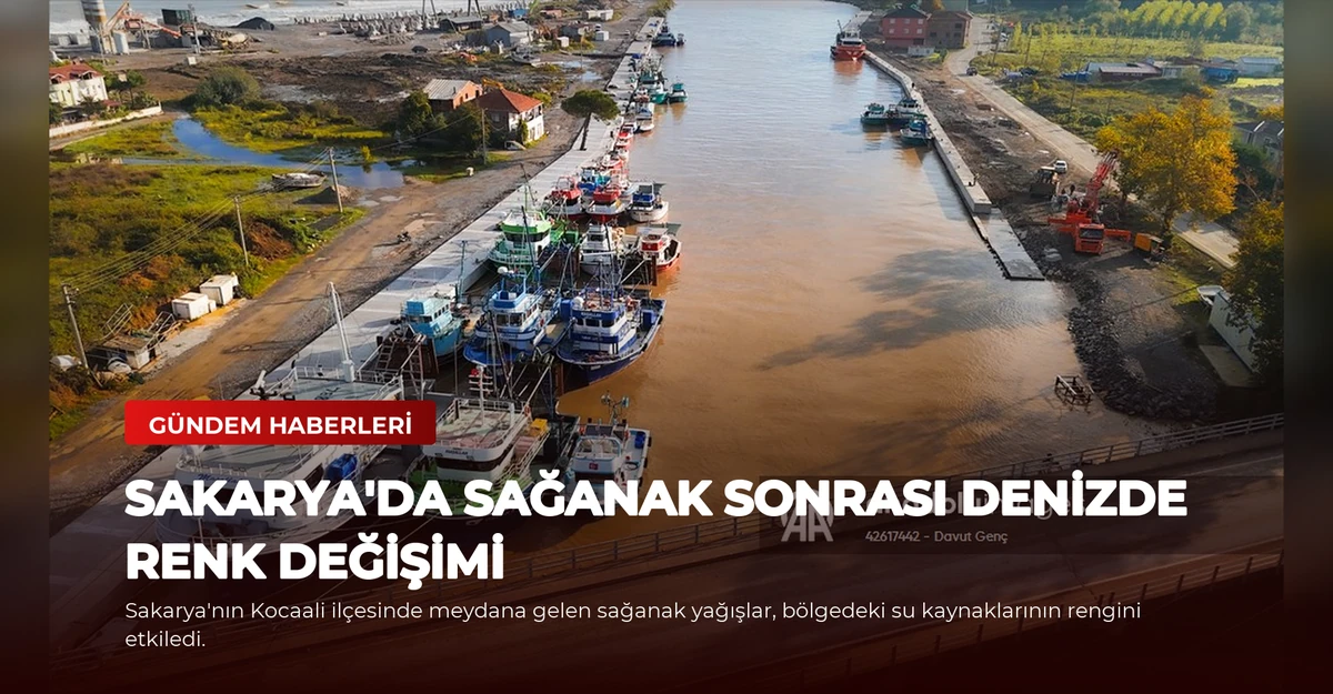 Sakarya'da Sağanak Sonrası Denizde Renk Değişimi