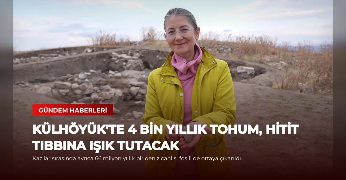 Külhöyük'te 4 Bin Yıllık Tohum, Hitit Tıbbına Işık Tutacak