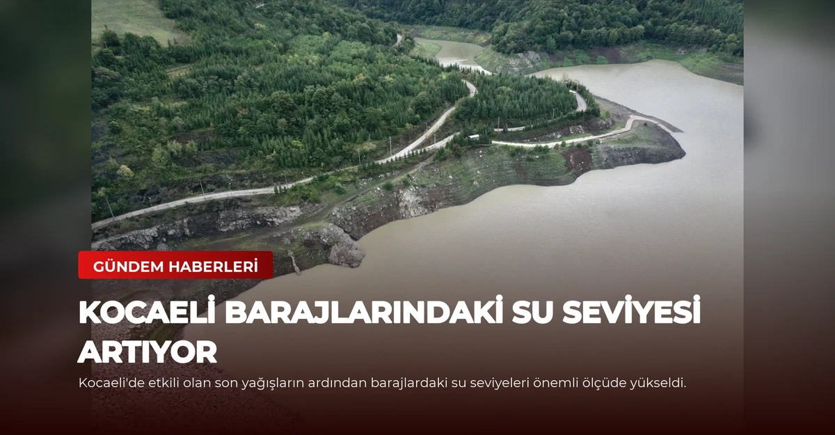 Kocaeli Barajlarındaki Su Seviyesi Artıyor