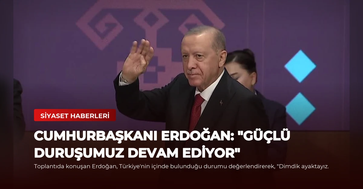 Cumhurbaşkanı Erdoğan: "Güçlü duruşumuz devam ediyor"