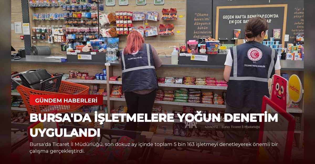 Bursa'da İşletmelere Yoğun Denetim Uygulandı