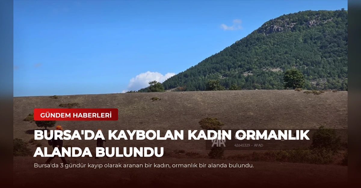 Bursa'da Kaybolan Kadın Ormanlık Alanda Bulundu