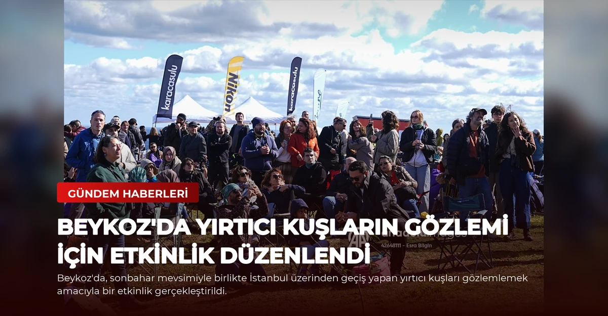 Beykoz'da Yırtıcı Kuşların Gözlemi İçin Etkinlik Düzenlendi