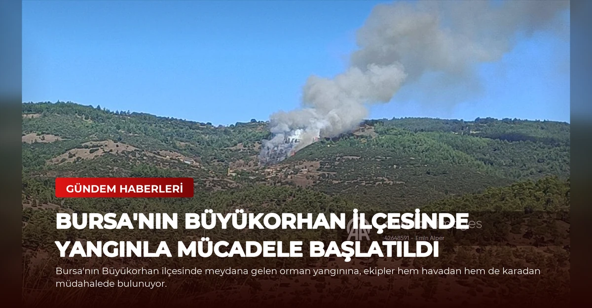Bursa'nın Büyükorhan İlçesinde Yangınla Mücadele Başlatıldı