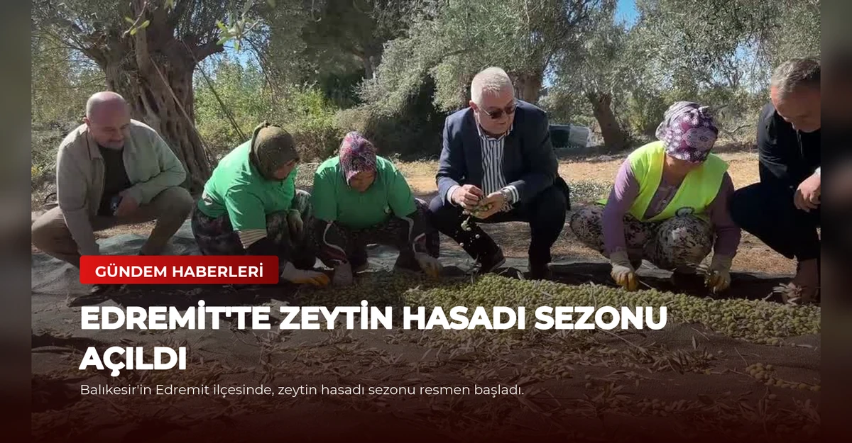 Edremit'te Zeytin Hasadı Sezonu Açıldı