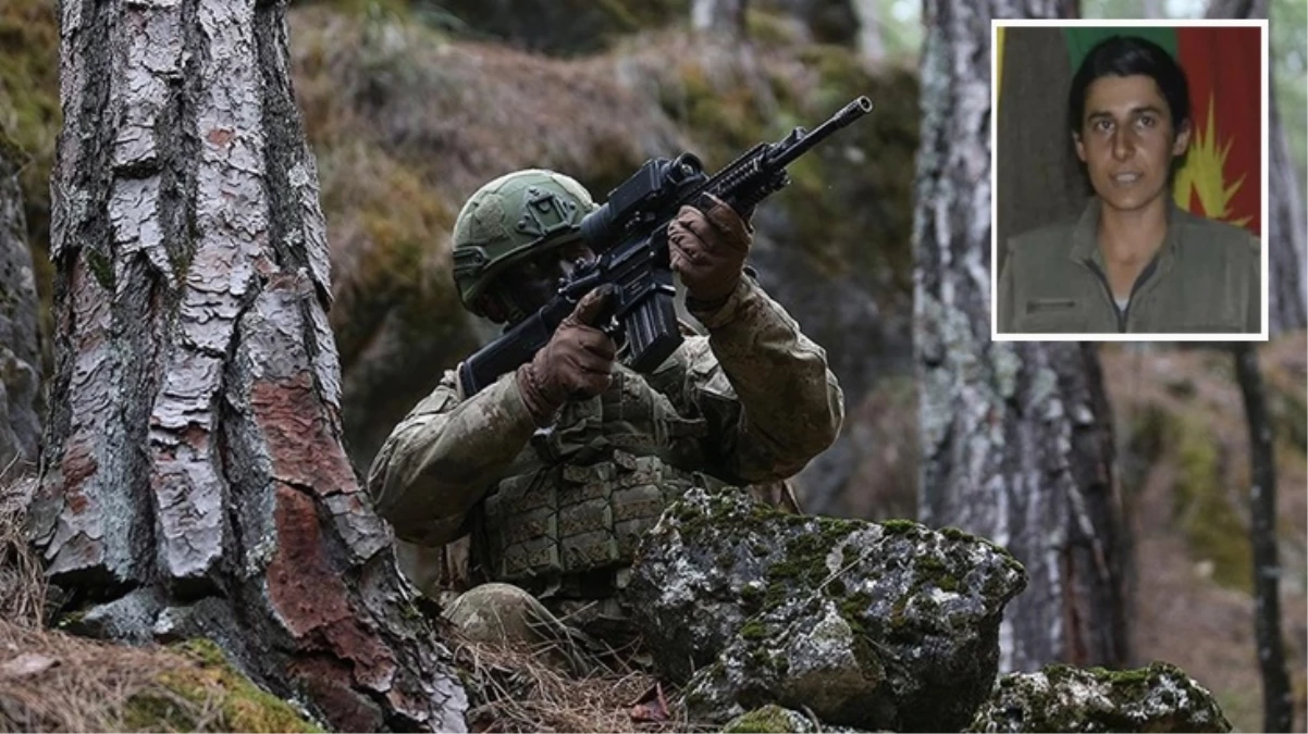  MİT, PKK’nın sözde sorumlusu Gülsün Silgir’i etkisiz hale getirdi