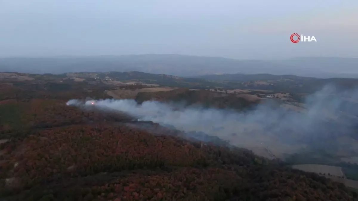 Kocaeli’de orman yangını 3 saatte kontrol altına alındı