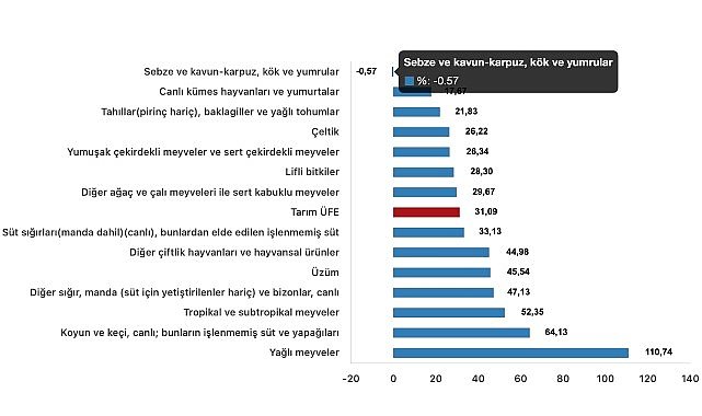  Tüik: Tarım ürünleri üretici fiyat endeksi (Tarım-ÜFE) yıllık %31,09 arttı, aylık %2,00 arttı