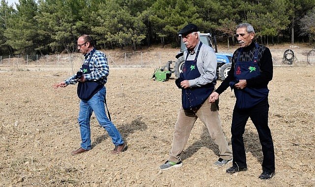  Üreticiye destek için buğday ekimi yapıldı