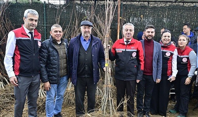  İzmirli Kestane Üreticilerine Kestane Gal Arısına Dayanıklı 2 bin 620 Fidan Dağıtıldı