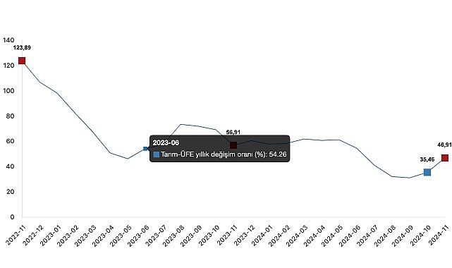  Tüik: Tarım ürünleri üretici fiyat endeksi (Tarım-ÜFE) yıllık %46,91 arttı, aylık %8,88 arttı